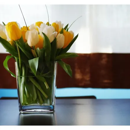 Oasi アッチャロリ