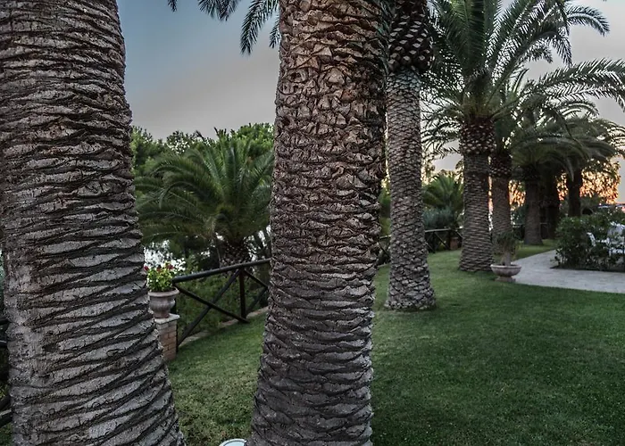 Oasi Apartahotel